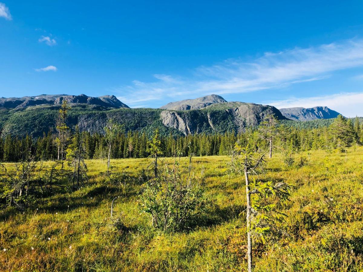 Dyrja Domes * Hemsedal