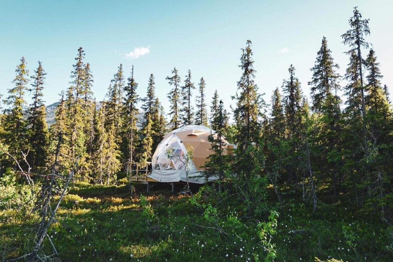 Dyrja Domes * Hemsedal