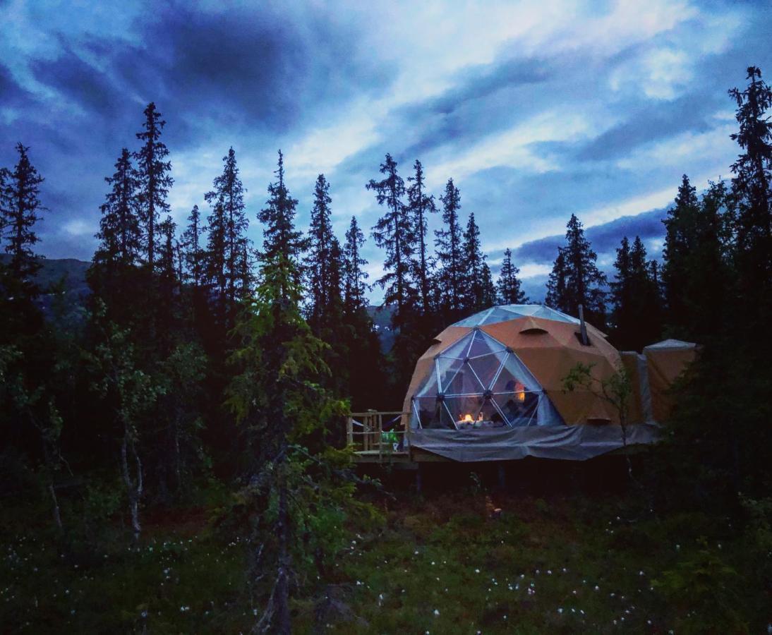 Luxe tent Dyrja Domes